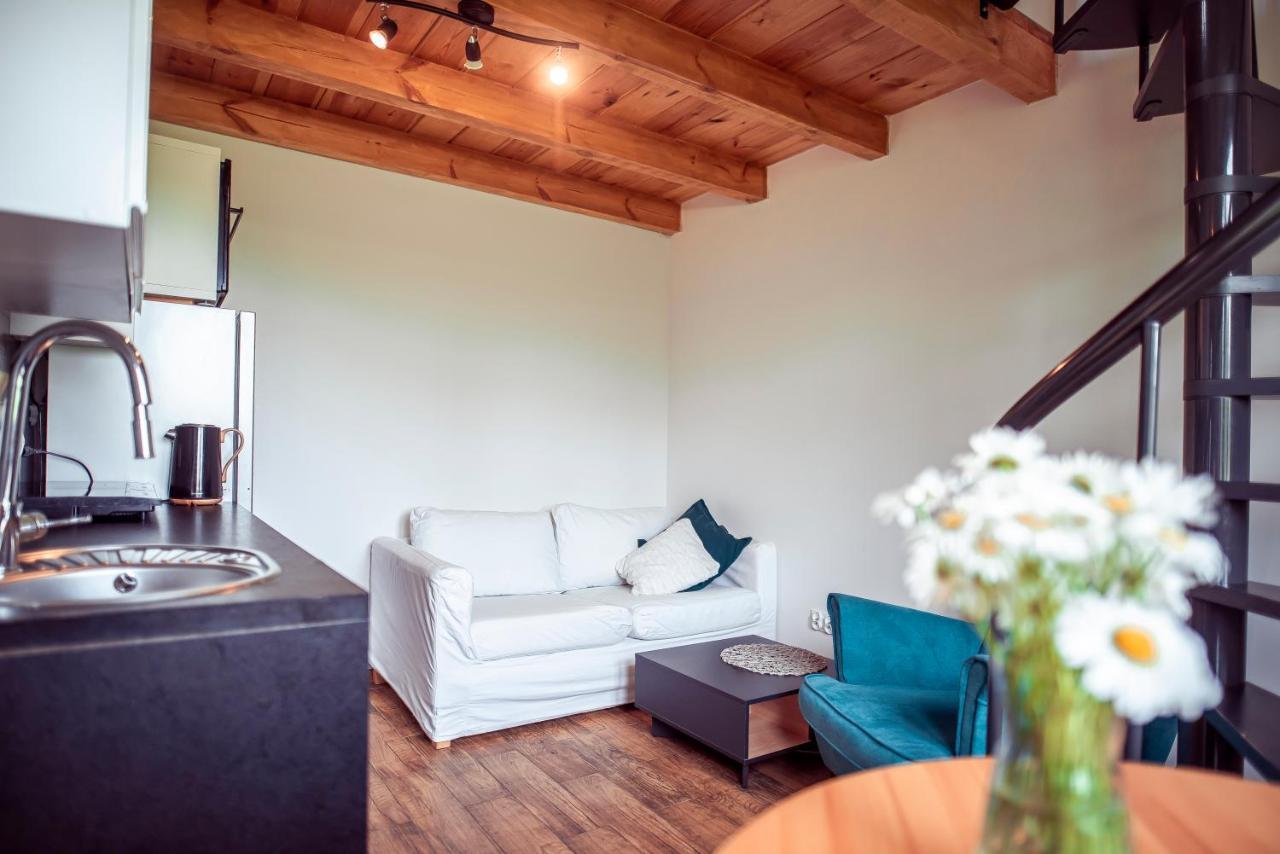 Zimna Apartments クフィジン エクステリア 写真